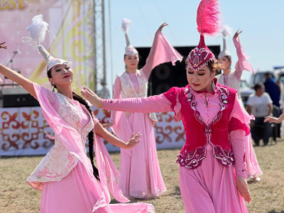 Фламинго из Коргалжына