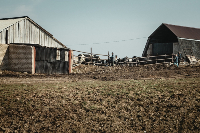 Глава поселения под Челнами не выполнил план по сбору налогов