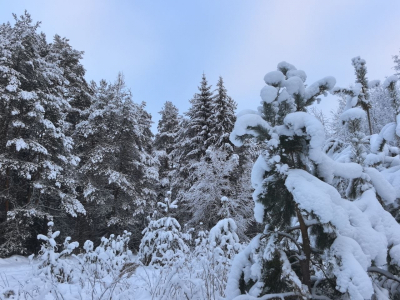 Из Екатеринбурга на легендарный перевал Дятлова отправилась лыжная экспедиция