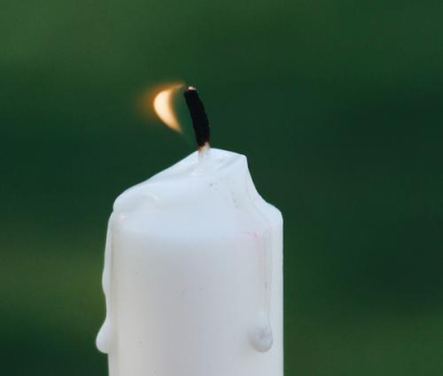 Ушел из жизни историк и писатель Рой Медведев