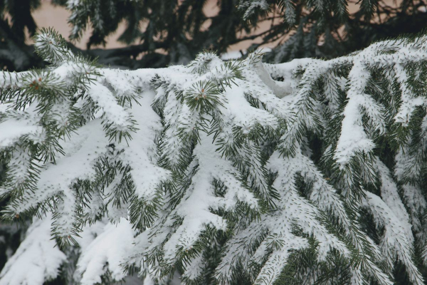 МЧС призвал соблюдать пожарную безопасность в связи с резким похолоданием