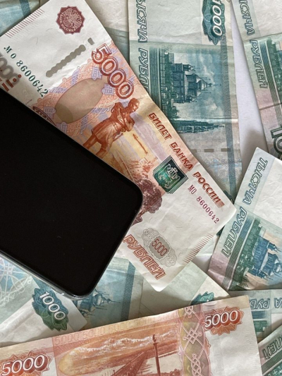 Женщина из Челнов заказала хозблок у мошенников и потеряла 126 тысяч рублей