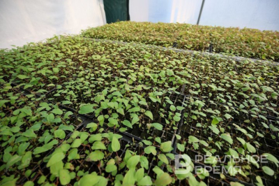 Казанский ГАУ создал опрыскиватель нового типа