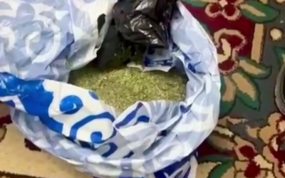 13 кг марихуаны нашли в квартире актюбинца