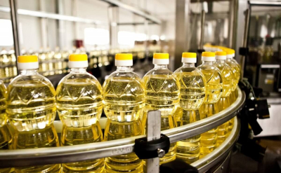 Растительное "золото" Казахстана рвется на экспорт