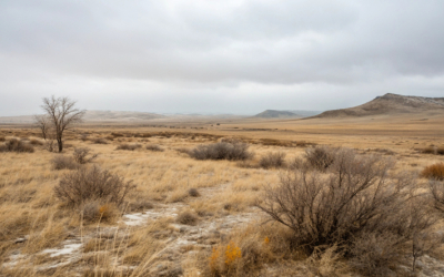 Снега нет. Прогноз погоды в Актобе на 2-4 декабря