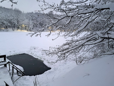 На борьбу с паводком и пожарами в Мордовии направят миллионы из резервного и федерального бюджетов