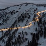 Самую длинную лестницу России пришлось закрыть из-за нашествия медведей