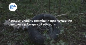 Раскрыто число погибших при крушении самолета в Амурской области