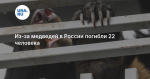 Из-за медведей в России погибли 22 человека