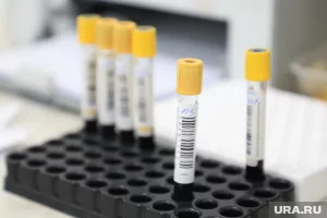 Появилась версия, как ученая из Иркутской области заразилась чумой
