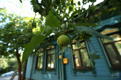 Средняя цена за дачу под Казанью перевалила за 2 миллиона: зумеры унаследовали мечту о шести сотках и усиливают спрос