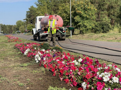 Количество кашпо с петуниями в Челнах выросло в два раза за пять лет