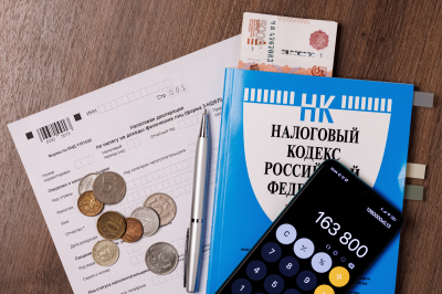 В Госдуме предложили автоматизировать начисление налоговых вычетов