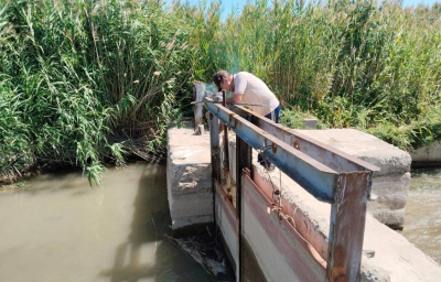 В Абайской области хозяйства получили 20,65 млн кубов воды для полива