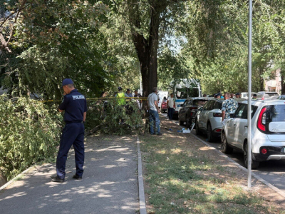 Не в том месте и не в то время…