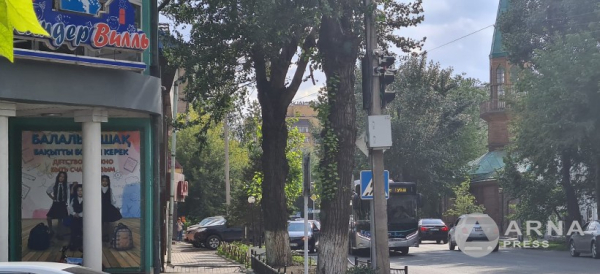 "Спрятанные светофоры" в центре города возмутили семейчанку