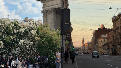 «Душа на своём месте»: девушка сравнила жизнь в Петербурге с родным городом 03/07/2026 – Новости